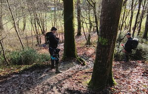 Concours nature saint sauvant dimanche 25 janvier