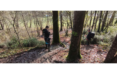 Concours nature saint sauvant dimanche 25 janvier