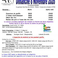 Compétition dimanche 8 novembre
